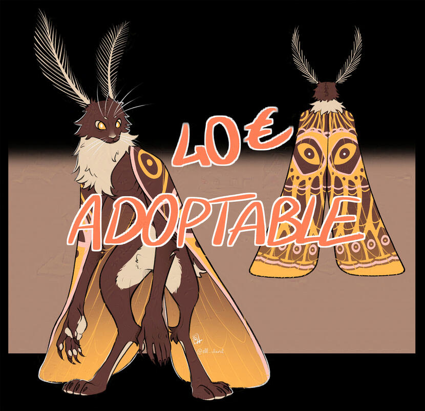 Front and back colored reference with wings and no wings + Color palette