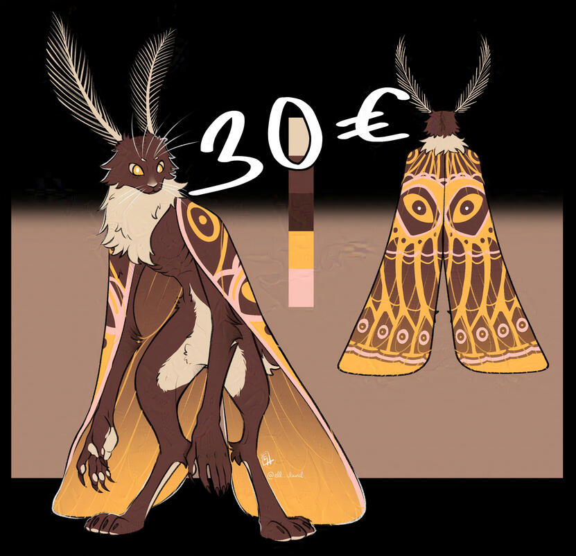↑ Front and back colored reference with wings and no wings + Color palette